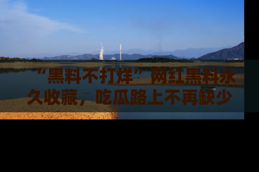 “黑料不打烊”网红黑料永久收藏，吃瓜路上不再缺少惊喜与乐趣