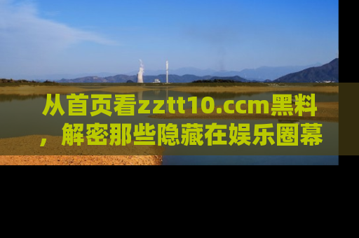 从首页看zztt10.ccm黑料，解密那些隐藏在娱乐圈幕后的丑闻故事！