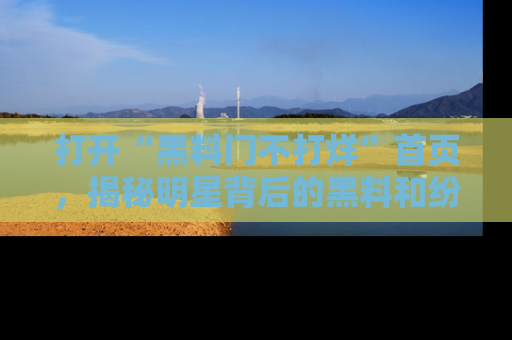 打开“黑料门不打烊”首页，揭秘明星背后的黑料和纷争真相！