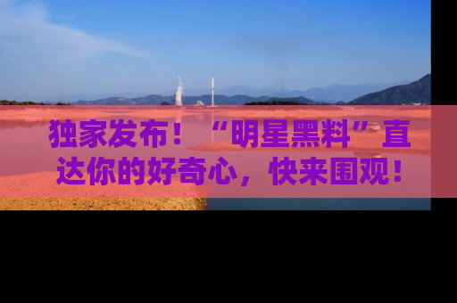 独家发布！“明星黑料”直达你的好奇心，快来围观！