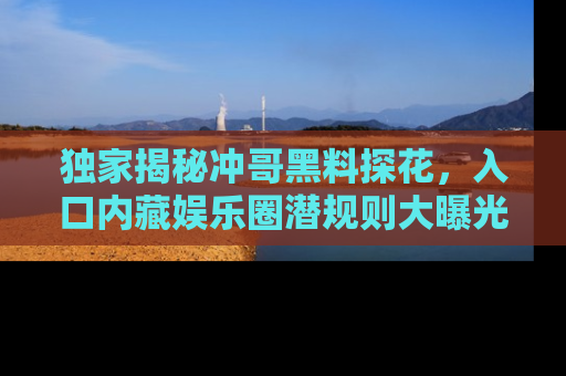 独家揭秘冲哥黑料探花，入口内藏娱乐圈潜规则大曝光