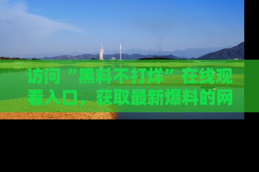 访问“黑料不打烊”在线观看入口，获取最新爆料的网址！