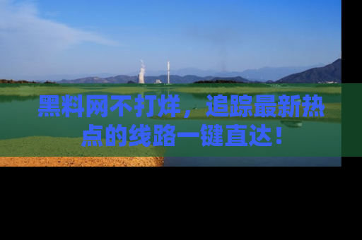 黑料网不打烊，追踪最新热点的线路一键直达！