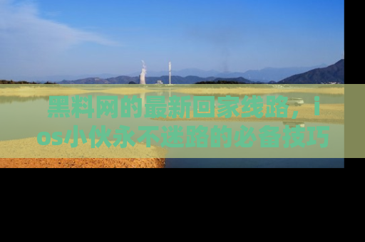 黑料网的最新回家线路，ios小伙永不迷路的必备技巧！