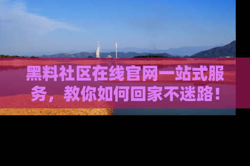 黑料社区在线官网一站式服务，教你如何回家不迷路！