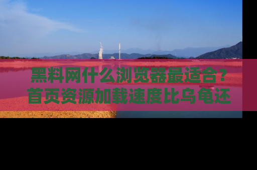 黑料网什么浏览器最适合？首页资源加载速度比乌龟还慢的体验真心吐槽！