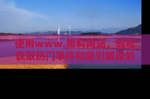 使用www.黑料网站,轻松获取热门事件和吸引眼球的黑料