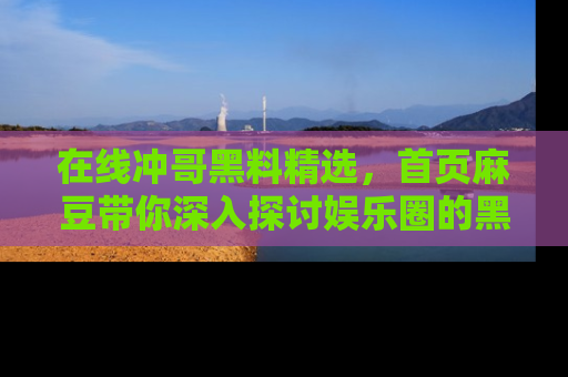 在线冲哥黑料精选，首页麻豆带你深入探讨娱乐圈的黑暗面